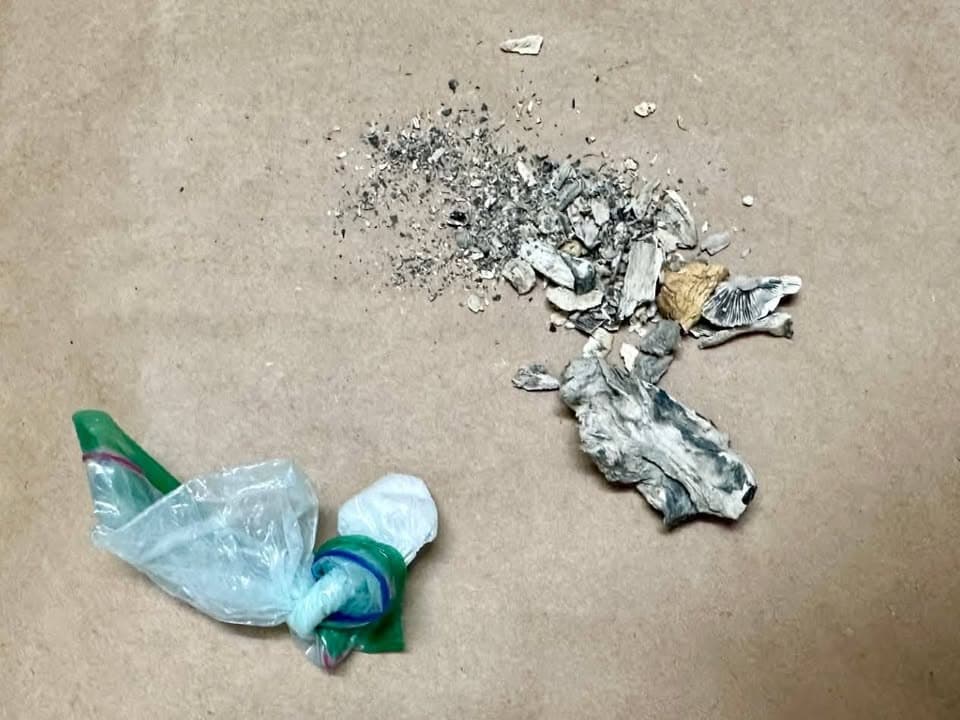 TRAFFIC STOP LEADS TO NARCOTICS ARREST- On September 15, 2025, at approximately...