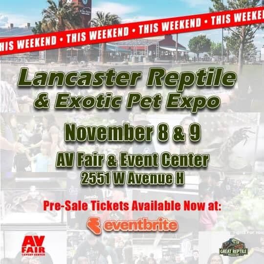 🦎 One Epic Weekend of Scales, Tails & Exotic Animal Fun! 🐍✨...