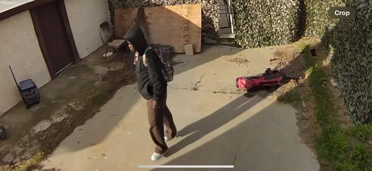 Posting for a follower: Hi!!! We were literally just robbed the suspects...