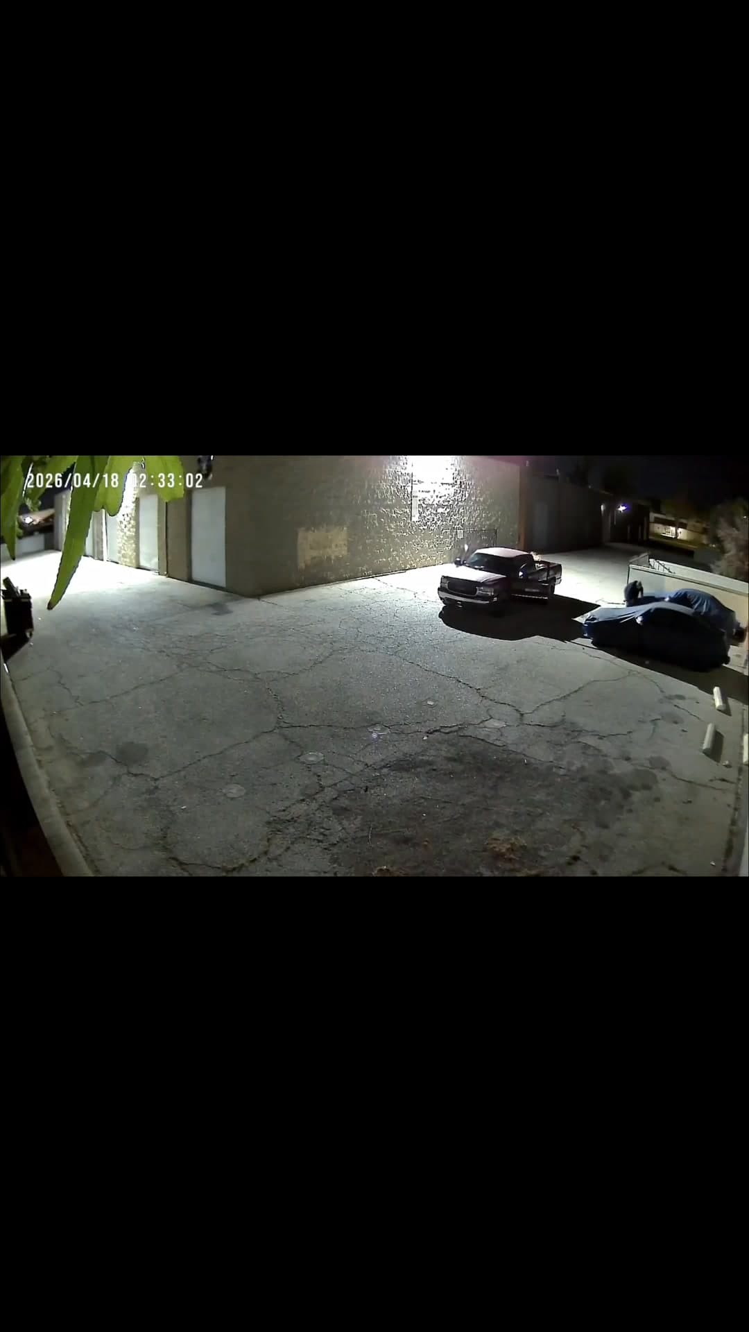 Posting for a follower Can you post this I have video of...