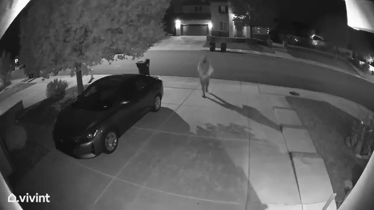 Posting for a follower Idk if anyone knows who this is but...