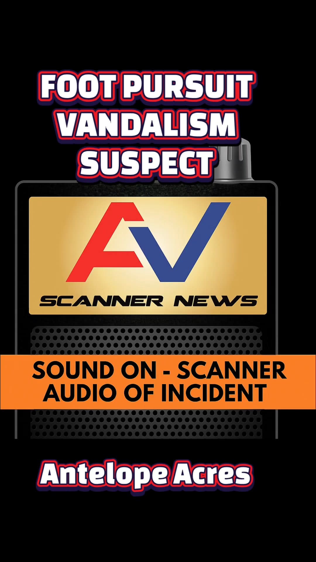 Audio of original call for service and foot pursuit of a vandalism...
