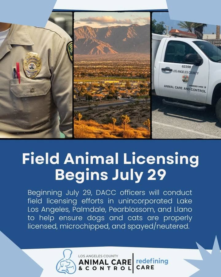 Field animal licensing enforcement begins July 29 in the unincorporated communities of...