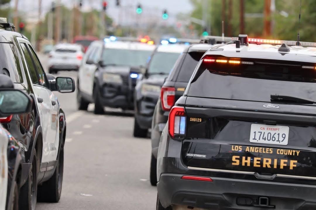 DEPUTIES SHOOT DOG TO SAVE MAN DURING VICIOUS ATTACK IN LANCASTER LANCASTER,...