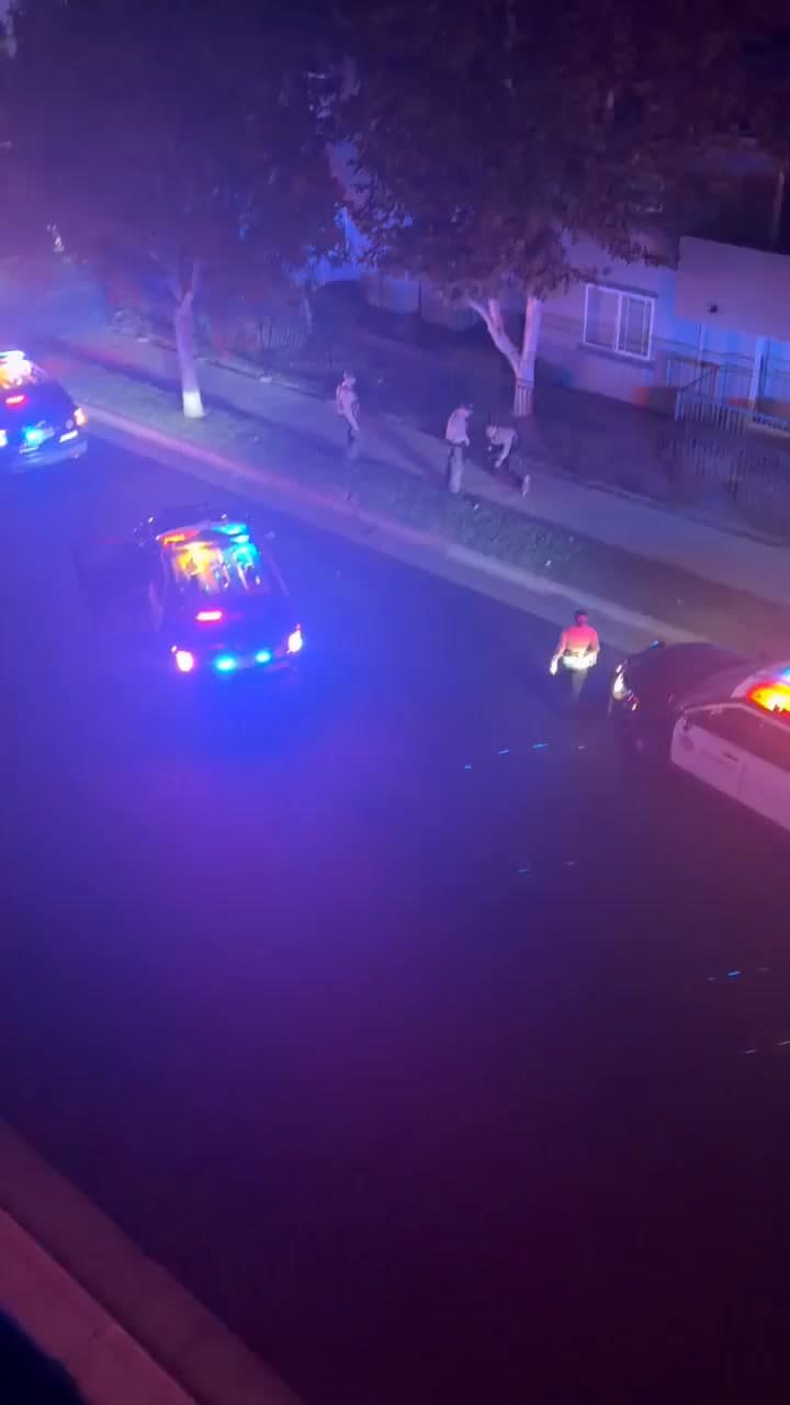 Video from earlier foot pursuit